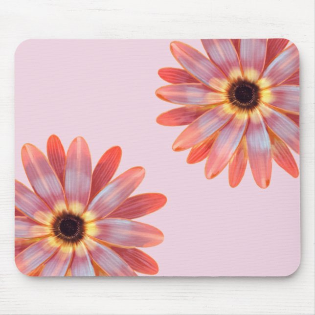 Colourful Gerbere Daisy Floral Mouse Pad (Front)