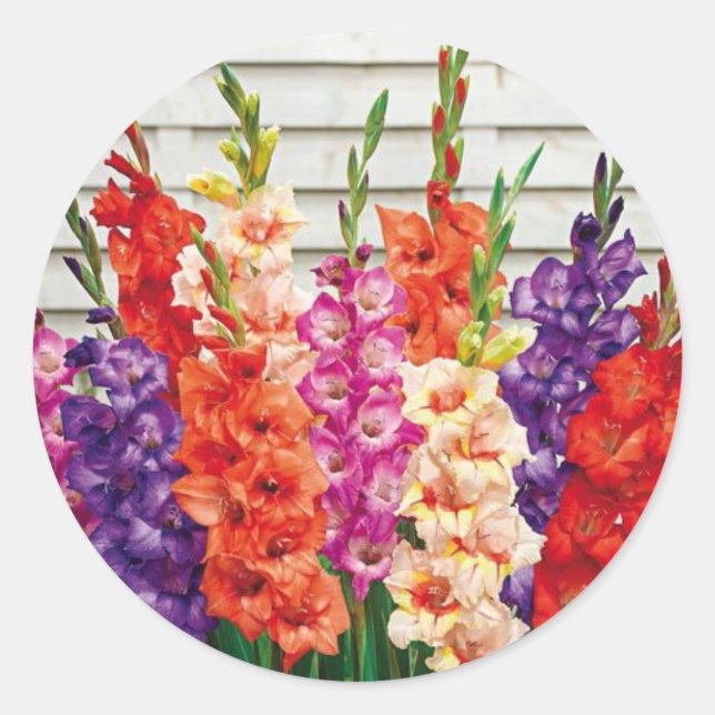 Colourful Gladiolas Envelope Seal Sticker (Front)