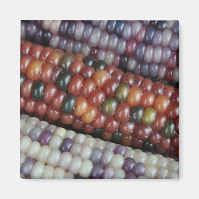 Colourful Glass Gem Corn on the Cob Magnet (Front)