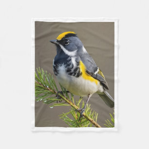 Colourful Gold-Crowned Bird on Pine Branch Fleece Blanket