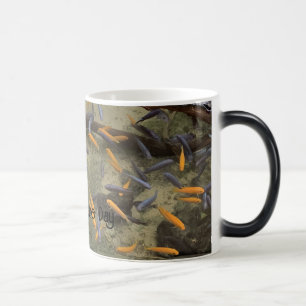 Colourful Goldfish Catch  Magic Mug