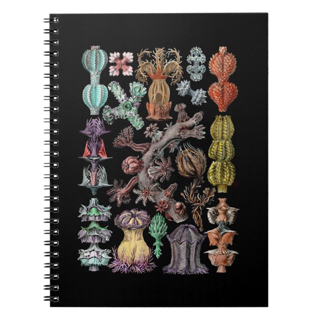 Colourful Gorgonide Sea Coral and Sponges Notebook (Front)