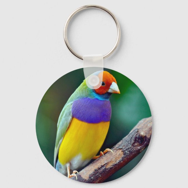 Colourful gouldian finch key ring (Front)