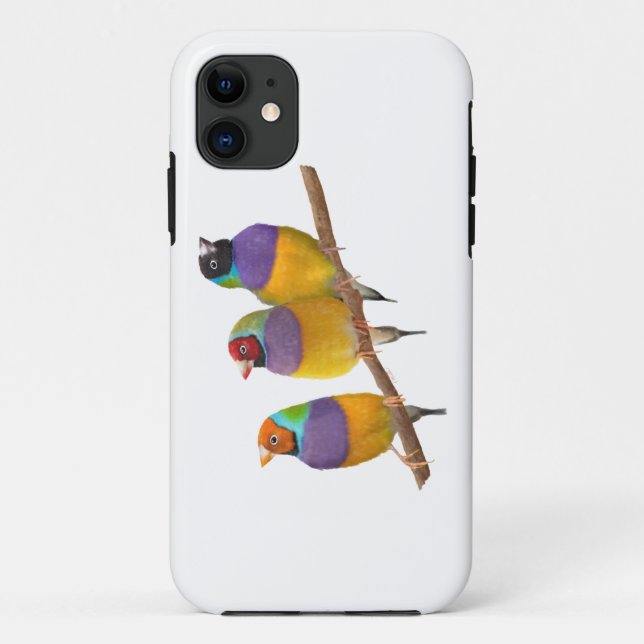 Colourful Gouldian Finches in Pastels Case-Mate iPhone Case (Back)