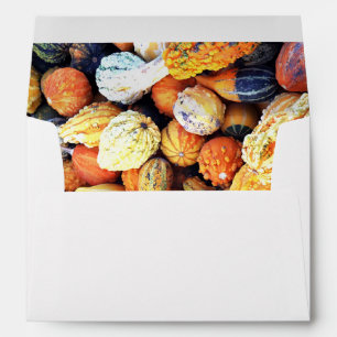 Colourful Gourds C Envelope