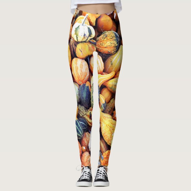 Colourful Gourds C  Leggings (Front)