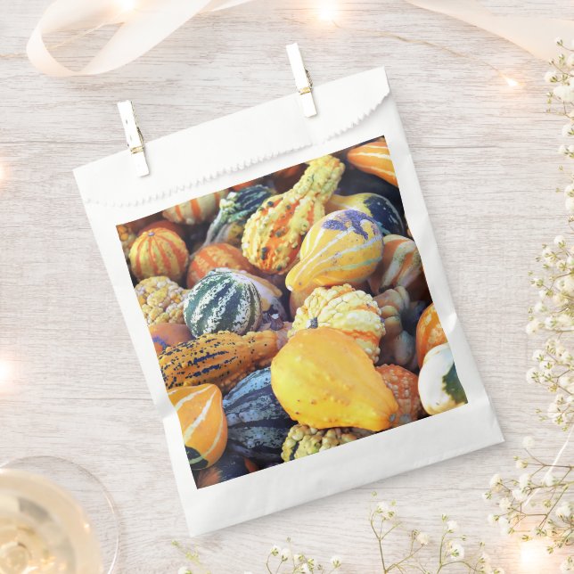 Colourful Gourds Close Up  Favour Bags (Clipped)