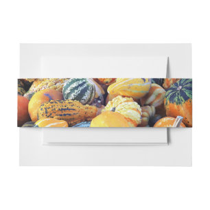 Colourful Gourds Close Up  Invitation Belly Band