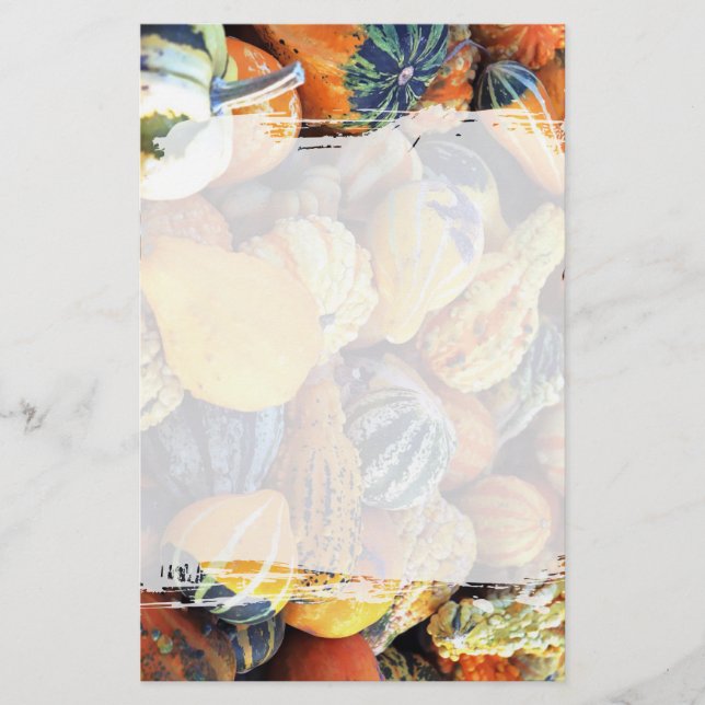 Colourful Gourds Close Up  Stationery (Front)