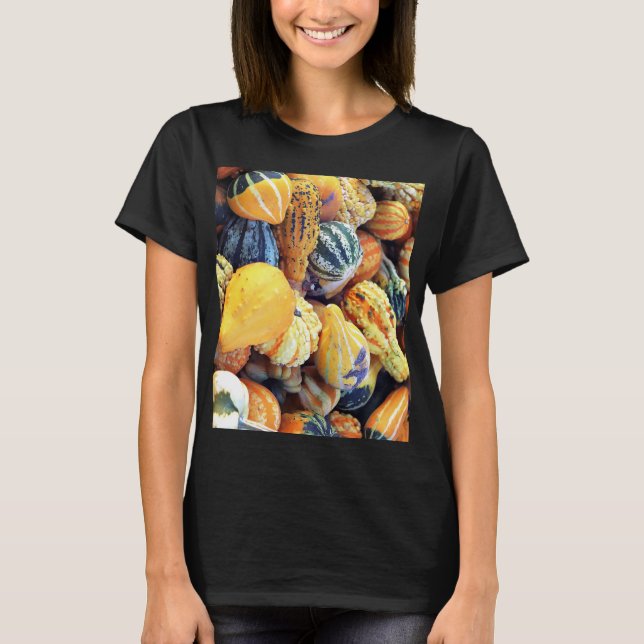 Colourful Gourds Close Up  T-Shirt (Front)