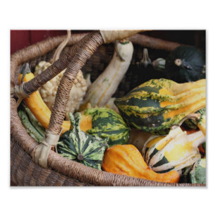 Colourful Gourds In Wicker Basket Autumn 8x10 Photo Print