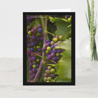 Colourful Grapes Card