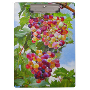Colourful Grapes Still Life Paint Calendar 2026 Clipboard