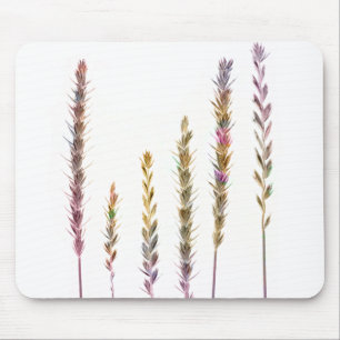 Colourful Grasses Mouse Pad