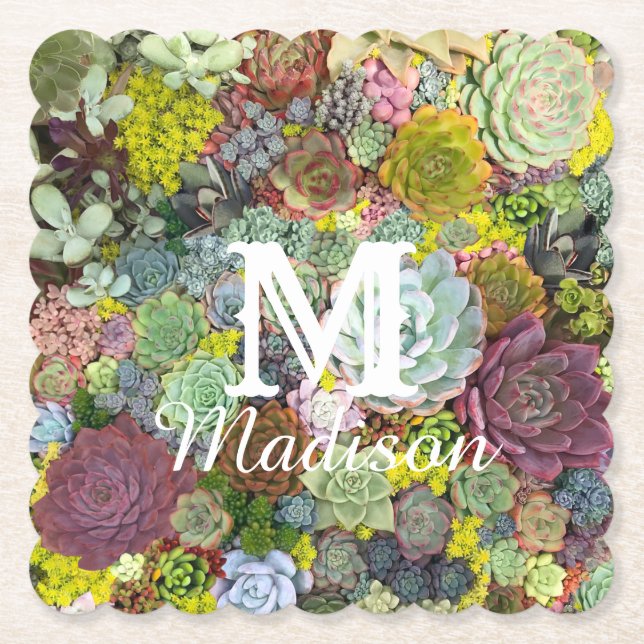 Colourful Greenery Succulents Paper Coaster (Front)