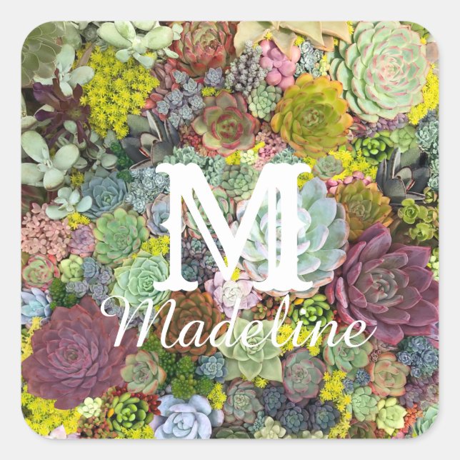 Colourful Greenery Succulents Square Sticker (Front)