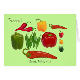 Colourful Group of Sweet Mild and Hot Peppers