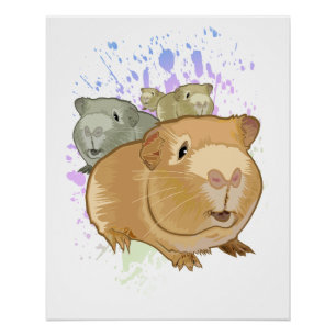 Colourful Guinea Pig Trio Rainbow Paint Splash Poster