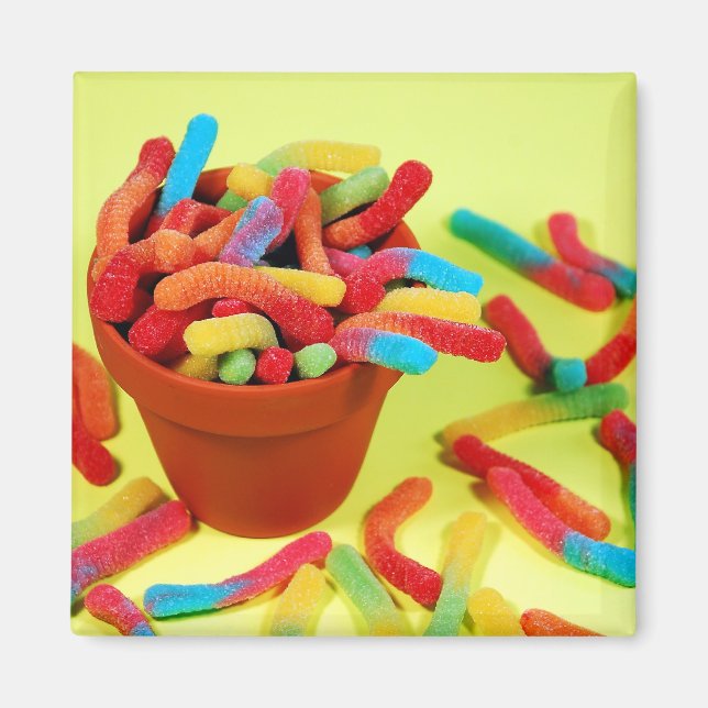 Colourful gummy worm candy magnet (Front)