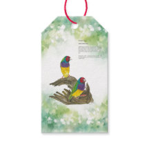 Colourful Hand-Painted Gouldian finch