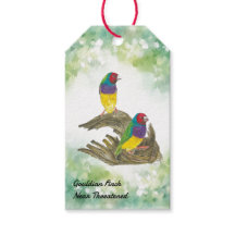 Colourful Hand-Painted Gouldian finch