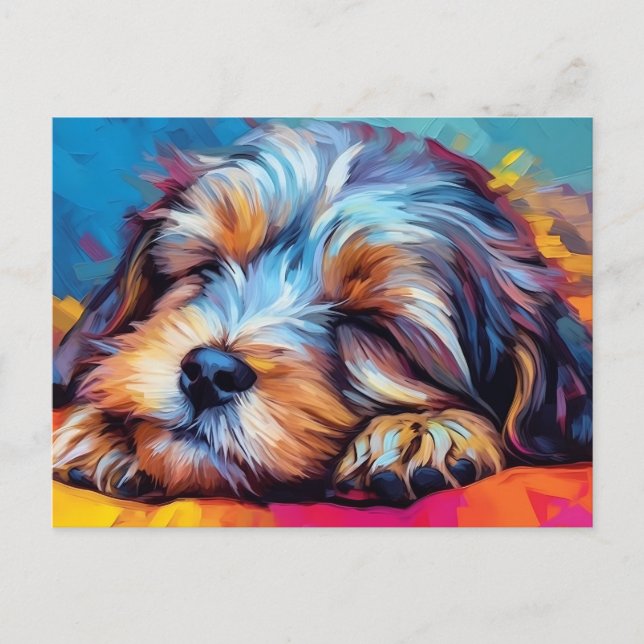 Colourful Havanese dog sleeping Postcard (Front)
