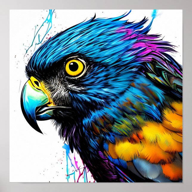 colourful hawk bird art poster (Front)