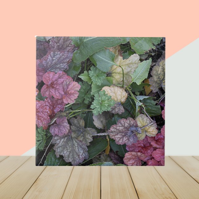 Colourful Heuchera Plant Leaves Botanical Tile (In Situ)