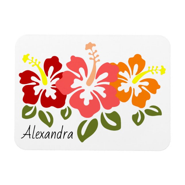 Colourful Hibiscus Trio Personalised Magnet (Horizontal)