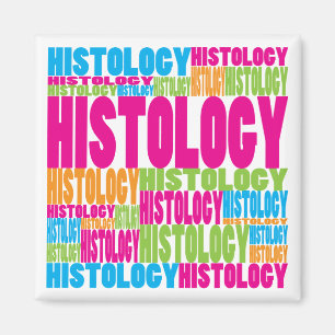 Colourful Histology Magnet
