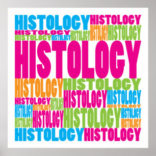 Colourful Histology Poster
