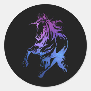 Colourful Horse Riding Horseback Horse Silhouette Classic Round Sticker