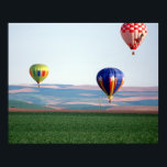 Colourful hot air balloons float over wheat poster<br><div class="desc">COPYRIGHT William Sutton / DanitaDelimont.com | US48 WSU0848.jpg | Colourful hot air balloons float over wheat fields in Walla Walla</div>