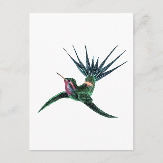 Colourful Hummingbird Postcard (Front)