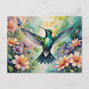 colourful hummingbird postcard