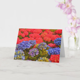 Colourful Hydrangea Flower Garden Art Note Card