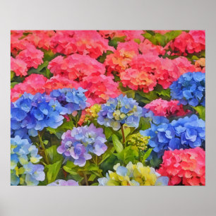 Colourful Hydrangea Flowers Watercolor Style Art Poster