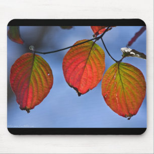 Colourful Illuminated Autumn Leaves Trio Mouse Pad