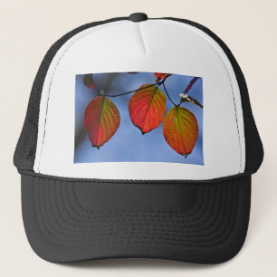 Colourful Illuminated Autumn Leaves Trio Trucker Hat