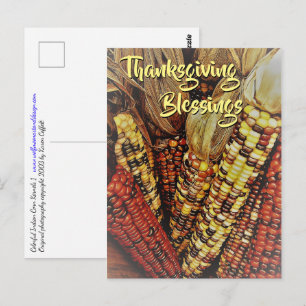 Colourful Indian Corn Kernels Photo 2 Thanksgiving Postcard