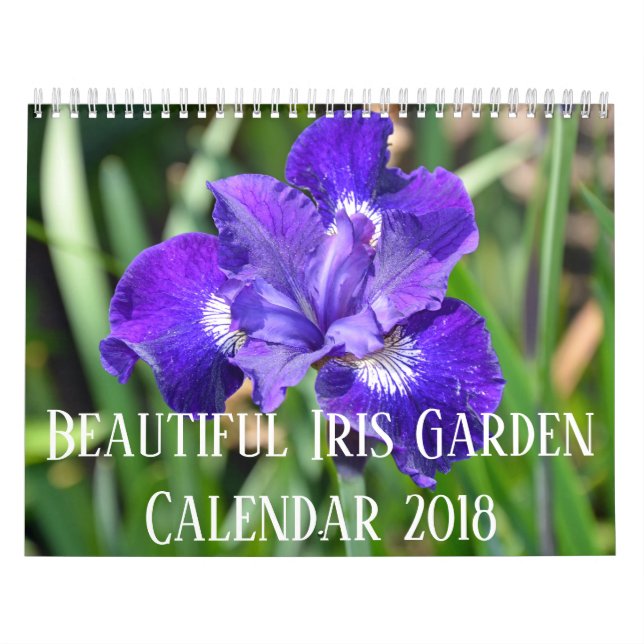 Colourful iris flowers calendar (Cover)