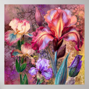 Colourful Irises Poster