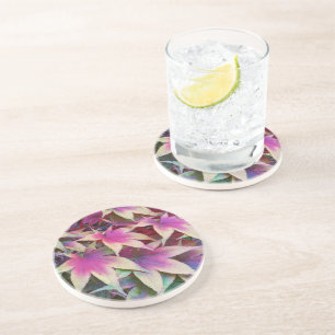Colourful Japanese Maple Leaves Floral Coaster