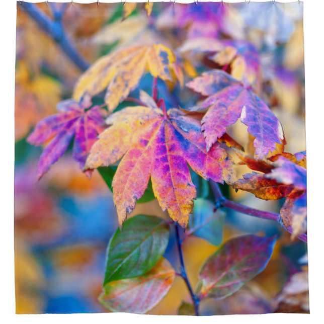 Colourful Japanese Maple leaves Shower Curtain (Front)