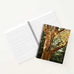 Colourful Japanese Stewartia Tree Bark Notebook