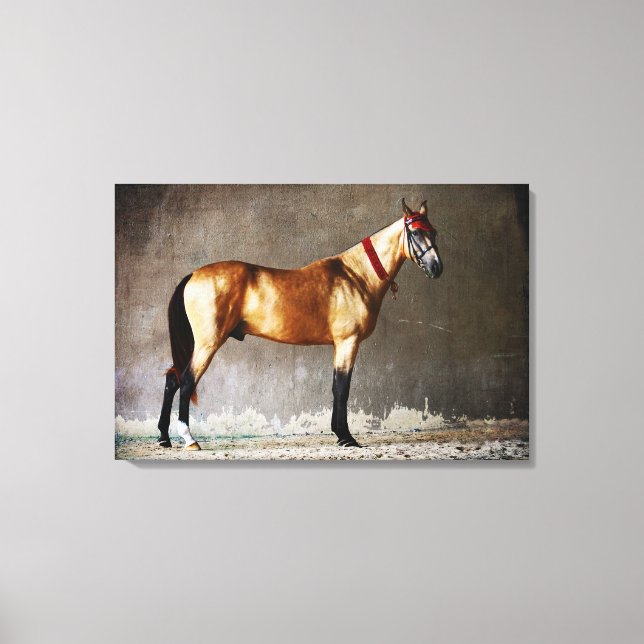 Colourful Jumping Horse Canvas Print (Front)