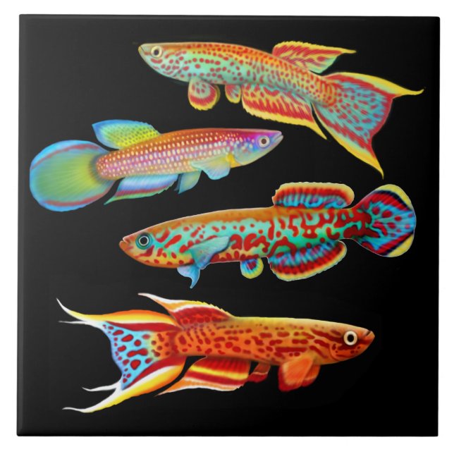 Colourful Killifish Tile (Front)