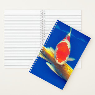 Colourful Koi in Blue Pool Notebook