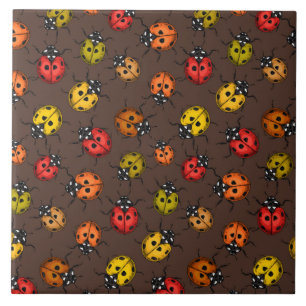 Colourful ladybugs on brown tile