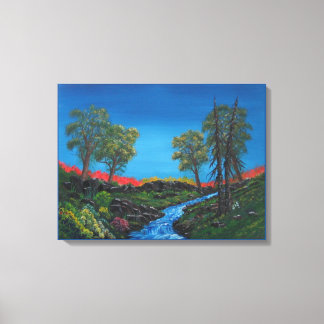Colourful Landscape Rocky Forest Stream Canvas Print